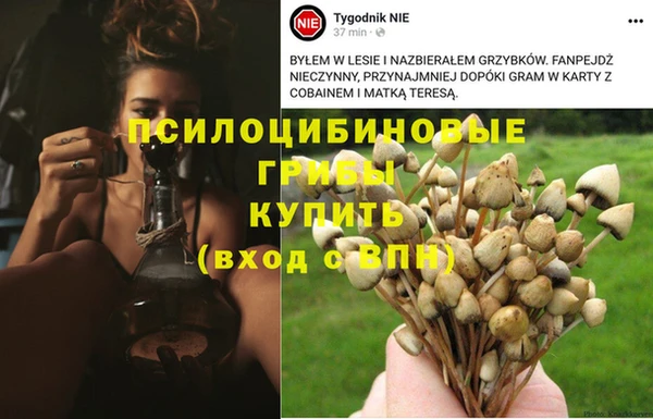 jwh Абаза