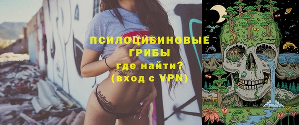 jwh Абаза