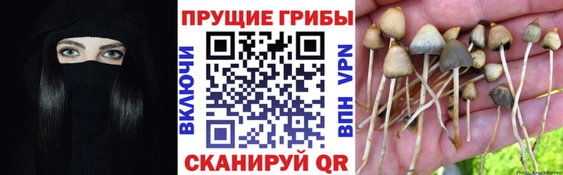 Галлюциногенные грибы ЛСД  Россошь 