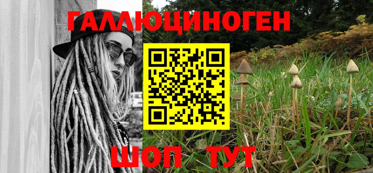 Россошь  Псилоцибиновые грибы Psilocybe  Вход с VPN 